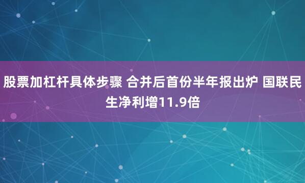 股票加杠杆具体步骤 合并后首份半年报出炉 国联民生净利增11.9倍