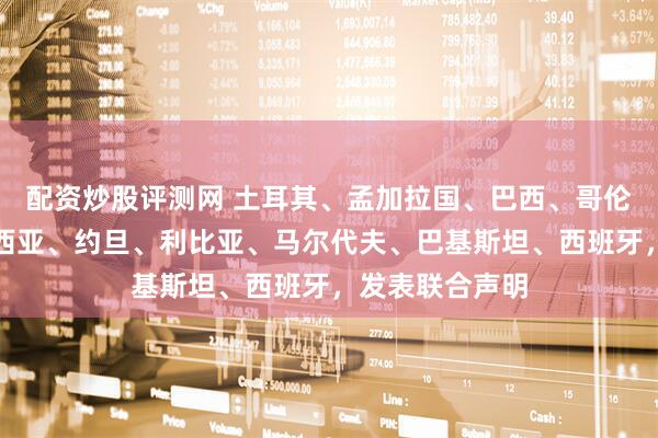配资炒股评测网 土耳其、孟加拉国、巴西、哥伦比亚、印度尼西亚、约旦、利比亚、马尔代夫、巴基斯坦、西班牙，发表联合声明